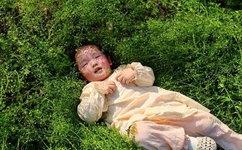 错嫁之盛世王妃